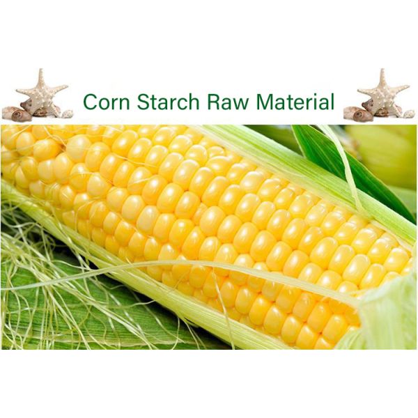 Eco Friendly Biodegradable Ziplock Cornstarch Packaging Bags Custom Printed Zipper Bags