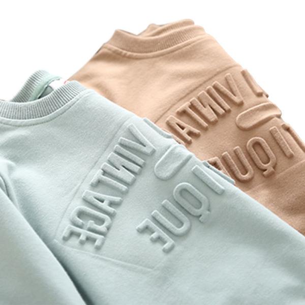 Algodão de Inverno Personalizado 500 gsm Logotipo em relevo de peso pesado Camisola com capucha