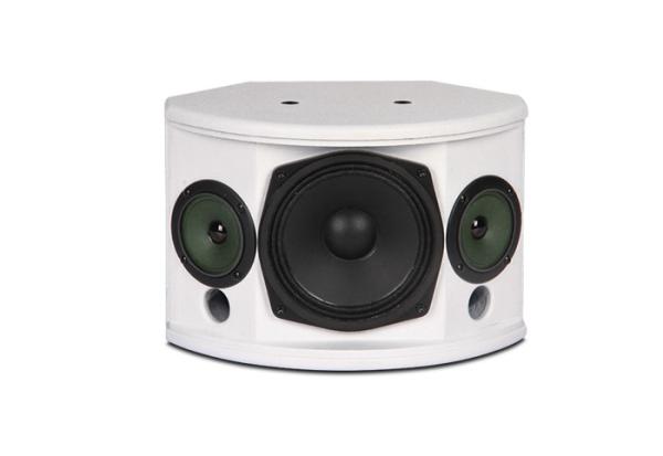 mini 6.5 pro audio loudspeaker  two way pa outdoor sound speaker system MT-236