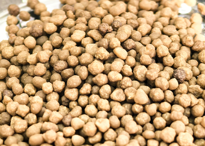 Npk Bio Organic Fertilizer Enhance Soil Fertility Sustainable