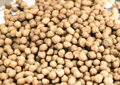 Npk Bio Organic Fertilizer Enhance Soil Fertility Sustainable