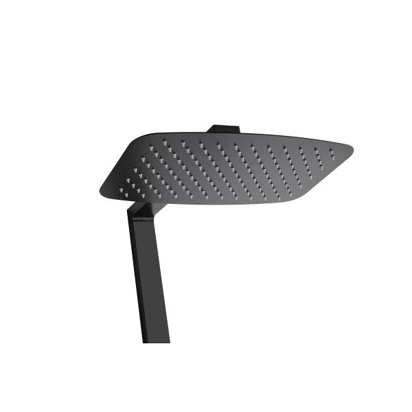 Стена установила никель черный ливень нержавеющей стали дождя установил латунную картину