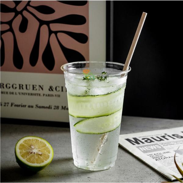 Compostable PLA Plastic Cups 8oz 10oz 12oz 16oz 20oz 24oz