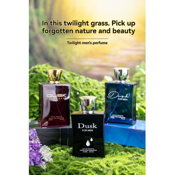 Floral Scent Perfume 100ML Wood fragrance Fresh Lasting Eau de Toilette for Urban Men