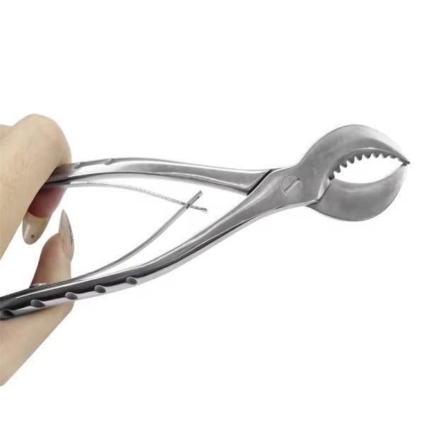 Forces dentaires en acier inoxydable, ciseaux en plâtre de gypse, pinces dentaires à lame dentée