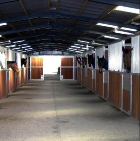 High Standard Galvanized Steel Farm Storage Buildings Snow Resistance