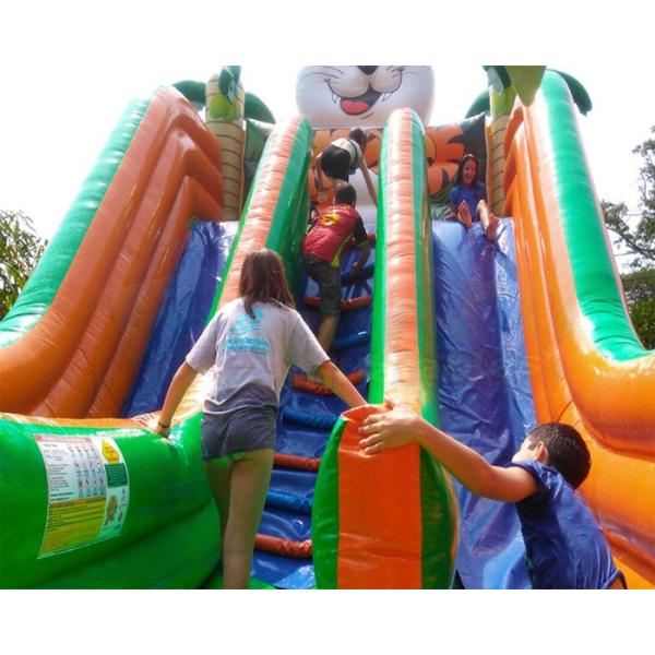 Хвастуна скачки стороны тигра надувной замок двойного раздувного взрослый