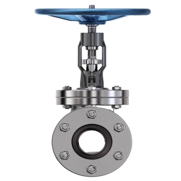 Zhenchao Carbon Steel Wcb Strainer Y Filter Type Y Strainer with After-sales Service