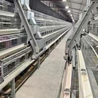 Système de cage automatique ventilé à quatre niveaux, chacun abritant jusqu'à 120 poulets dans des cages à batterie.
