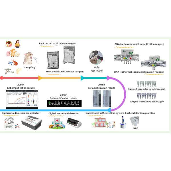 Overall solution for thermostatic detection of largemouth bass rhabdovirus