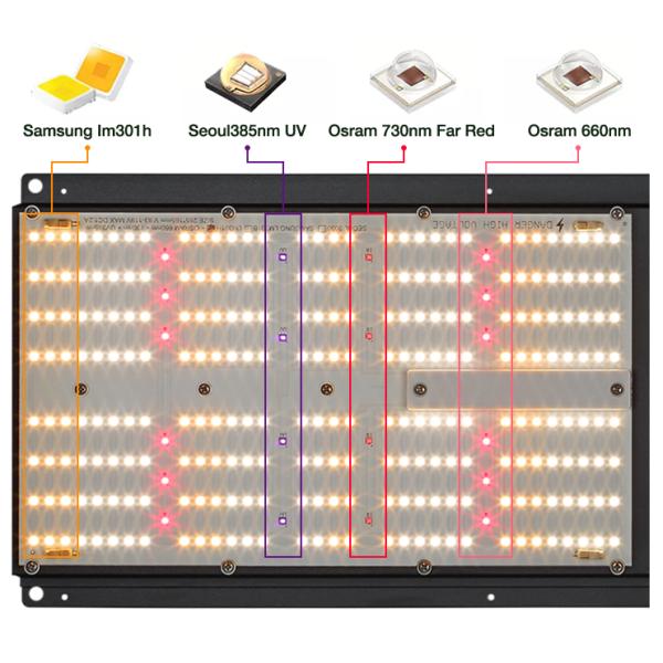 1872umol/s Commercial Led Grow Light Lm301h Pro 1700e Hydroponic Uv Lights