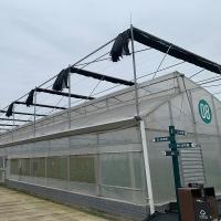 Tente de culture tropicale à dent de scie à poly-tunnel à plusieurs travées