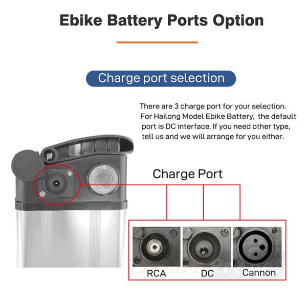 1000w 8ah 48v Triangle Battery For Power EBike Lightweight
