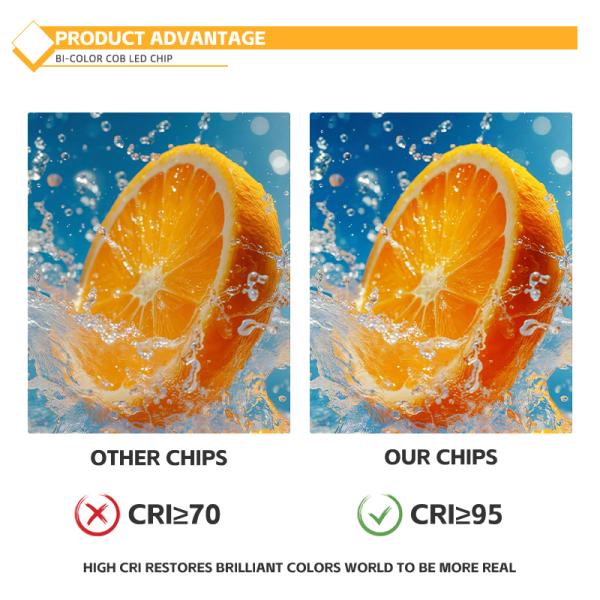 2828 Plate COB LED Double Color Temperature 50W+50W Luminous Surface 20mm