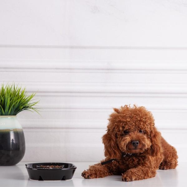 Шар керамического шара собаки шара Медленн-еды Медленн-еды шара любимца Анти--душащего в форме Рыб в форме Рыб Косточк