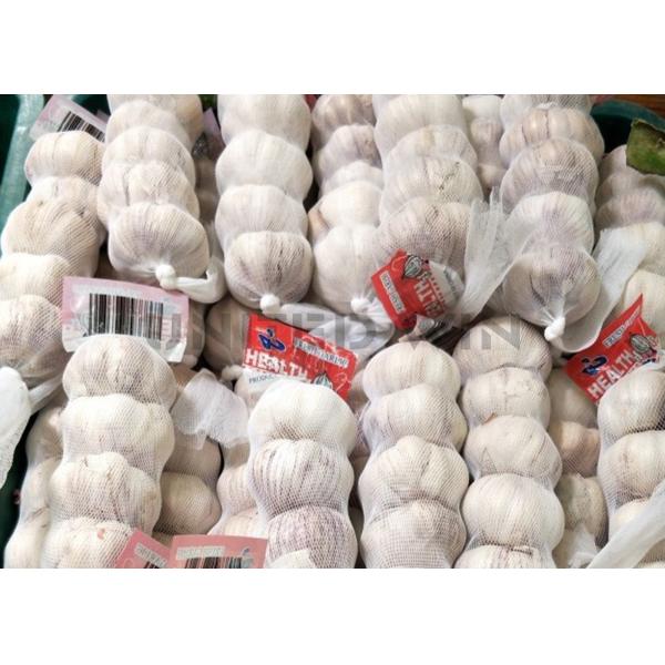 Vegetable packing net plastic net bag no knot net equipment