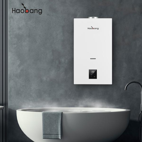 Wall Mounted Flue Gas Water Heater With Flue Exhaust And Optional Protection