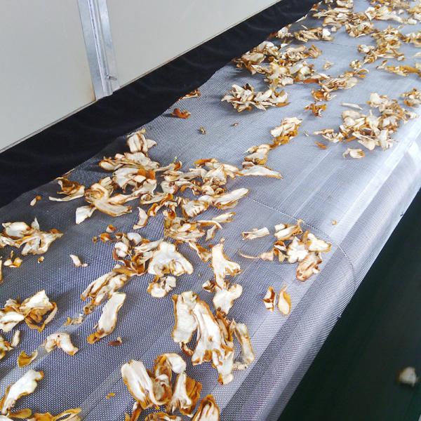 HengShou SGS Continuous Belt Dryer Cinnamon Orange Peel Drying Machine Wearproof
