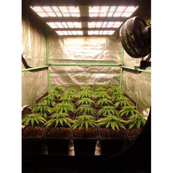 720w Hydroponic сад инфракрасн Uvb растет светлый красный цвет 660nm Dropship Ip65 водоустойчивый