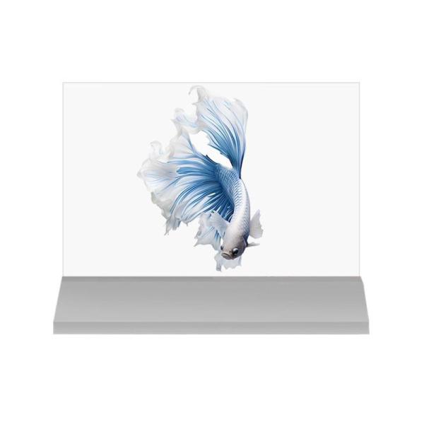 15Affichage numérique transparent OLED 4K de 6 pouces pour les menus interactifs