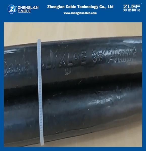 0.6/1kV Overhead Insulated Cable NFC 33-209 Standard XLPE Insulation ABC Cable 3X50mm2+54.6mm2