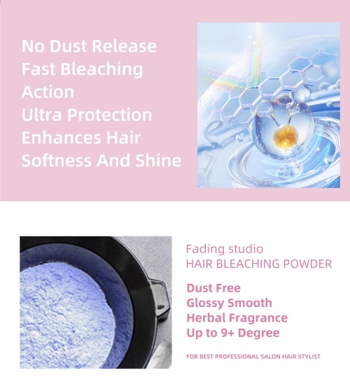Professional Hair Bleaching Powder OEM Dust Free Wholesale Herbal Formula Wholesale Hair Color Manufacturer