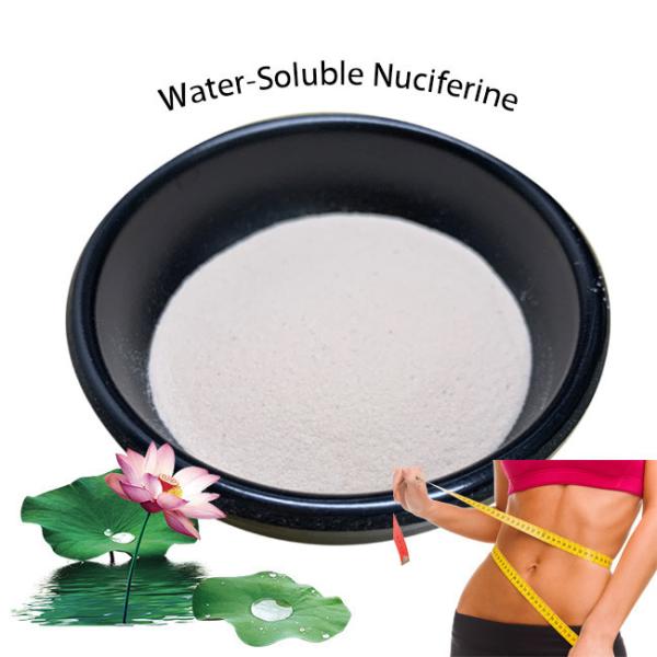ISO Water Soluble Lotus Leaf Extract Powder 2% 5% Nuciferine For Slimming