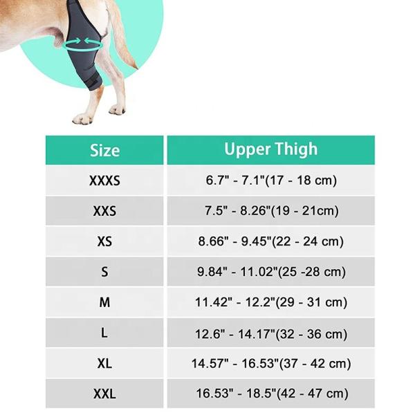Anti Tear Dog Hock Protector Anti Vibration Dog Leg Brace For ACL Injury