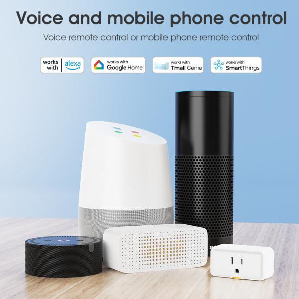 Tuya Smart Socket with Power Monitoring, WiFi and RF433 Plug, Type C Outlet, App and Voice Control, Compatible with Alexa and Google Home