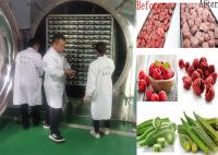 1000 kg/partido Máquina de secado por congelación de alimentos Refrigeración por aire calefacción eléctrica