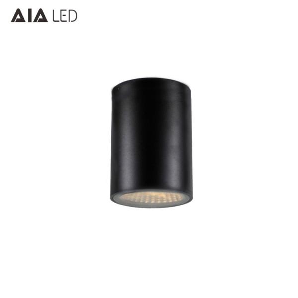 IP65 waterproof modern ceiling mounted 15W downlight&outdoor LED down lamp