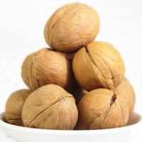 Fruits secs non lavés pelés 185 noix de peau de papier meilleur prix brut en usine de Chine Amazon vente à chaud