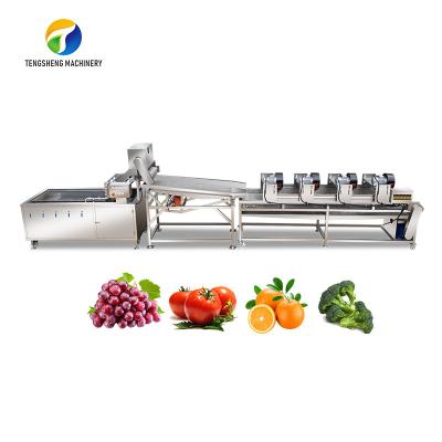 Linha de processamento vibração das frutas e legumes 4.5KW que drena o equipamento