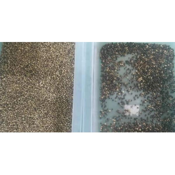 Сортировщица цвета семени перца подвергает белую черноту механической обработке с дистанционным управлением Wifi