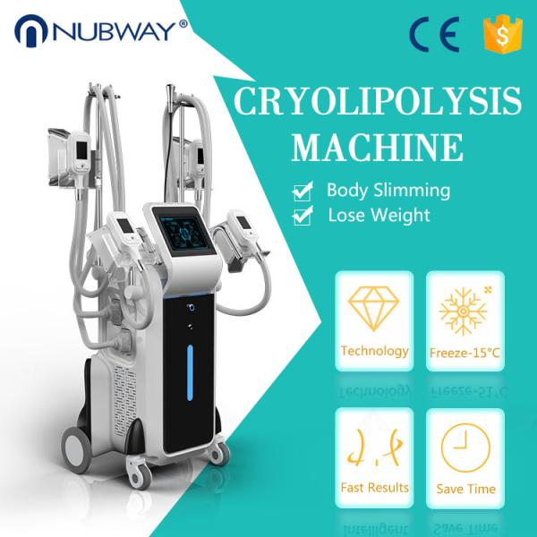 Coolsculption cryolipolysi fat freezing / slimming cryolipolysis machine weight loss