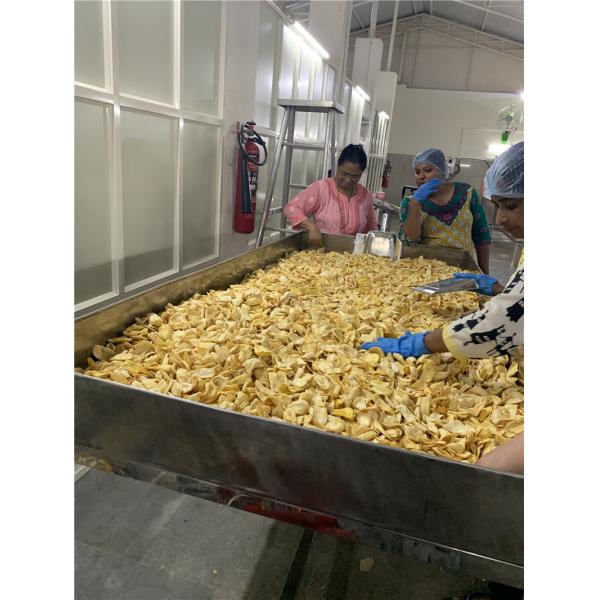 Industrial Vacuum Jack Fruit Chips Making Machine 4100*2400*3200mm