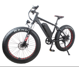 48V 750w Geared Motor Cycling Fat Tire Ebike With Headlight , 35km / H Speed