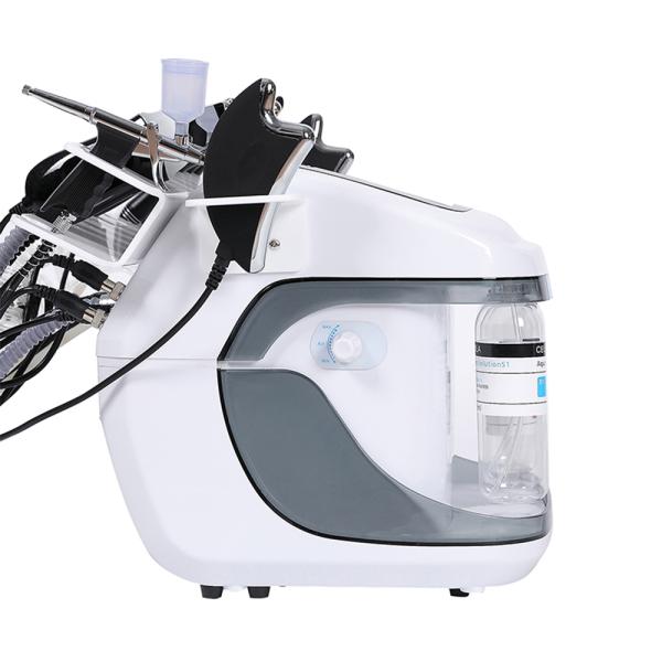 Portable Hyro H2o2 Small Bubble Hydra Aqua Peel Facial Machine 10 in 1