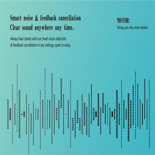 Genuine Wireless Resound 16 Channel Rechargeable Bettery Seniors Deafness By Funtion Hearing Aid Medical