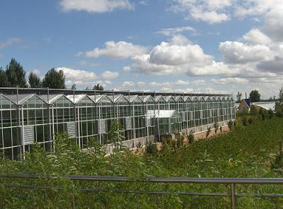 Water Proof Agricultural Glass Greenhouse , Diy Tomato Greenhouse Good Light Transmittance