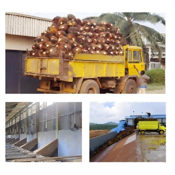 10TD Palm Oil Production Processing Line Cooking Oil Pressing Production Line Oil Pressers