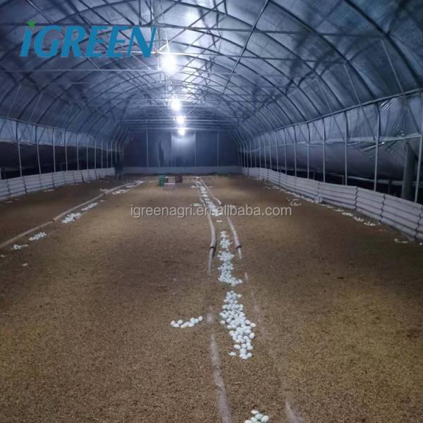 Steel Single-Span Small Greenhouse with PE Film Cover for Ducks or Chickens