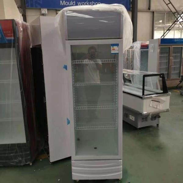 Commercial Mechanical Temperature-Controlled Beverage Display Freezer