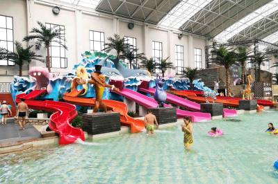 Attractive Kids' Water Slides , Aqua Play Equipment Fiberglass Pool Slide