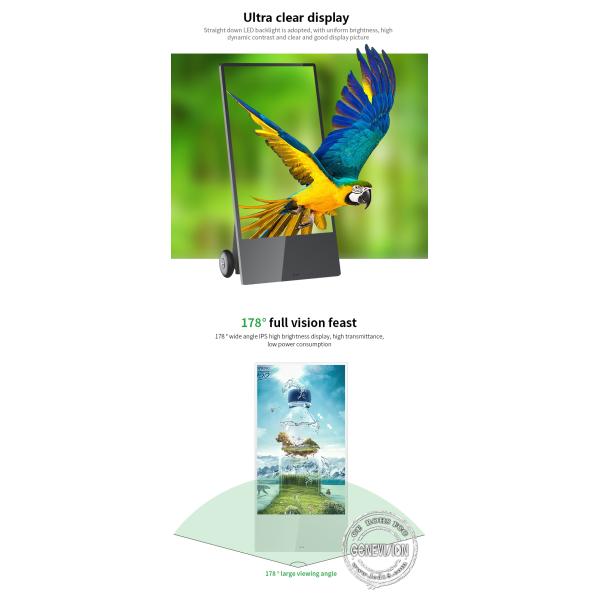 дисплей на открытом воздухе рекламировать 43 дюймов портативный с батареей и колесами