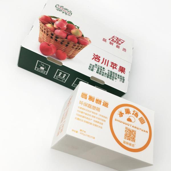 Stackable пластмасса гофрировала складного грызуна Eco коробок не токсического анти- дружелюбного