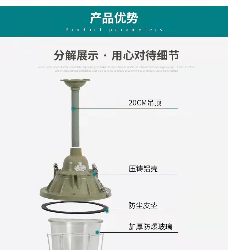 200w Explosion-proof LED Bulb for Indoor/Outdoor in Chemical Plants Lighting Fixture