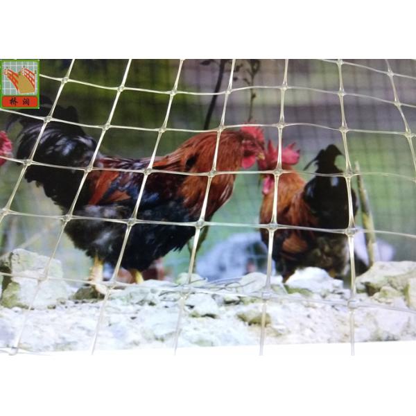 Customized Clear Plastic Chicken Poultry Fence, Plastic Poultry fence, High Tensile Strength, 1.5M High