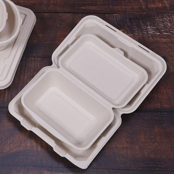 7 X 5in Biodegradable Sugarcane Bagasse Pulp Hinged Food Container Take Out Lunch Box
