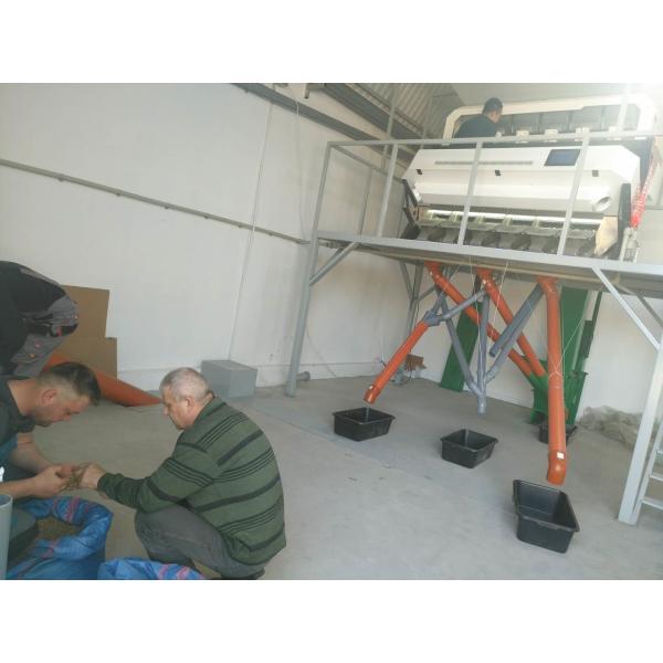 新しい設計光学CCDの小さいニンニク色の選別機の製造業者多機能色の分類